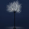 Jingle Jollys 2.5M LED Christmas Blossom Tree 600 LED Optic Fiber Cold White - Coll Online