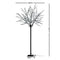 Jingle Jollys 2.5M LED Christmas Blossom Tree 600 LED Optic Fiber Cold White - Coll Online