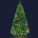 Jingle Jollys Christmas Tree LED 2.1M 7FT Xmas Decorations Green Home Decor - Coll Online