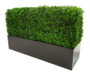 Deluxe Portable Buxus (Bright) UV Resistant 100cm Long x 50cm High x 25cm Wide