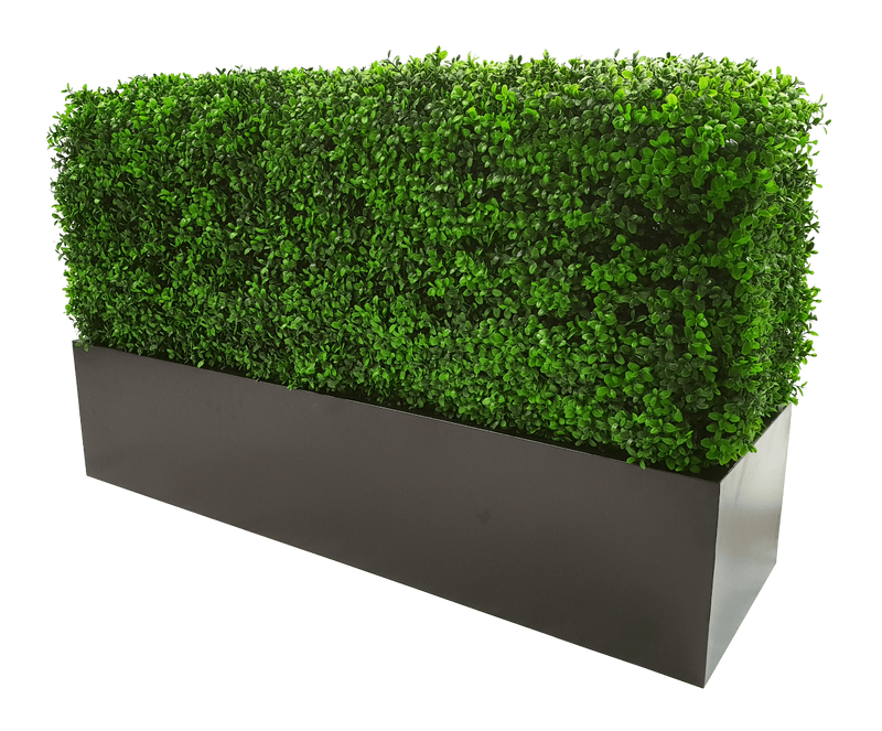 Deluxe Portable Buxus (Bright) UV Resistant 100cm Long x 50cm High x 25cm Wide