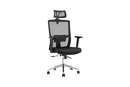 Ergolux Everest Ergonomic Chair (Black)