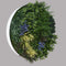 UV Lavender Fields Green Wall Disc (White) 80cm