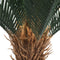 Artificial Cyac (Cycad) Plant 60cm