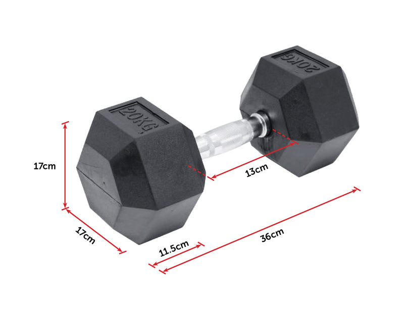 20KG Commercial Rubber Hex Dumbbell Gym Weight